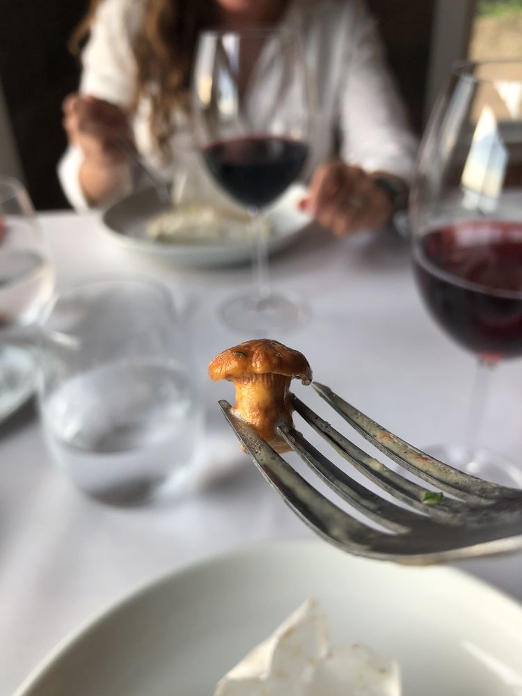 WOODROAD 14 Photos 2815 Shore Road, Margaree Harbour, Nova Scotia