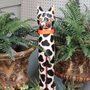 Photo of Spotted Cat Antiques