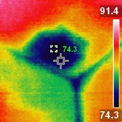 I&O Inspections - Infra-red photo of moisture intrusion in master bedroom discovered during a home inspection