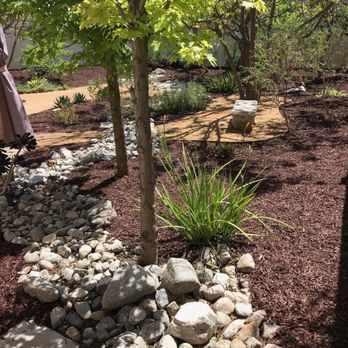 Louis MC Tree Service - After Louis Mc - Tree Services Near Me Louis MC Tree Service - After Louis Mc - Tree Services Near Me