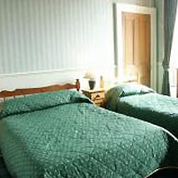 The Armadillo Guest House