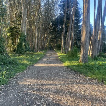 Bay Area Ridge Trail - Hiking Near Me - Berkeley, California Bay Area Ridge Trail - Hiking Near Me - Berkeley, California