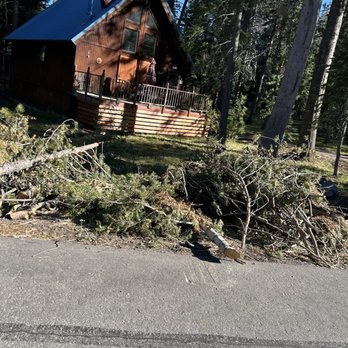 Scott Simpson Tree Removal - Tree Services Near Me Scott Simpson Tree Removal - Tree Services Near Me