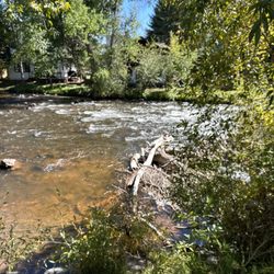 The Tipsy Trout - Lunch by the river