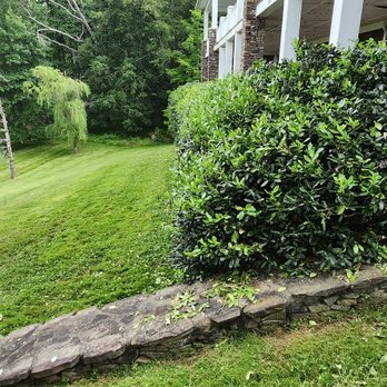 Tri-Cities Property Solutions - Landscaping Near Me - Bristol, Virginia Tri-Cities Property Solutions - Landscaping Near Me - Bristol, Virginia