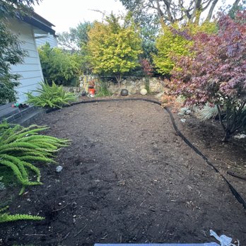 Purchase Green Artificial Grass - The project in process - Artificial Turf Near Me - Salinas, California