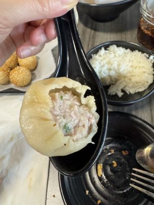One Bite Dumpling by null