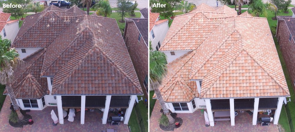 Slide of Slime Busters