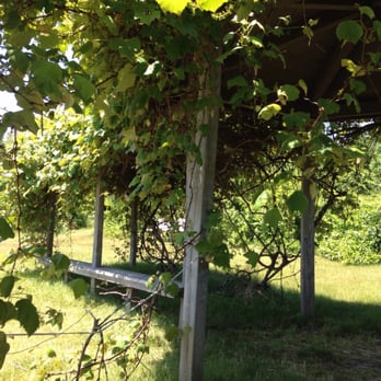 Grape Island - Local Flavor Near Me
