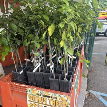 Florida Orange World - Fruits & Veggies Near Me - Kissimmee, Florida