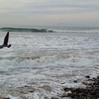 Surfer's Point - Seagulls - Beaches Near Me - Ventura, California