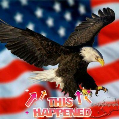 Gourmet Donuts by null