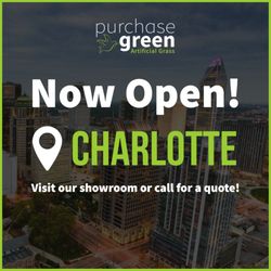 Purchase Green Artificial Grass - Charlotte - Now Open!