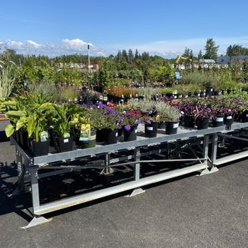 Terra Gardens Nursery & Bark - Outside plant area - Nurseries & Gardening Near Me - Salem, Oregon