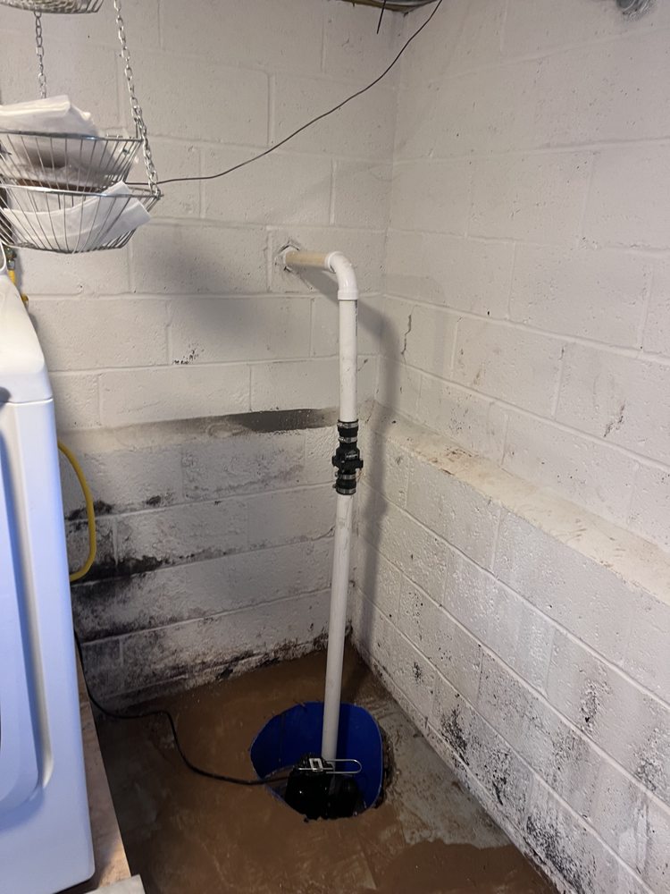 Slide of General Rooter XP