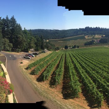 Willamette Valley Vineyards - So beautiful from their back deck - Wineries Near Me - Turner, Oregon