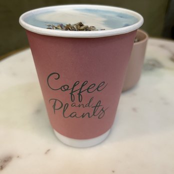 Coffee and Plants - Blue lavender Latte - Coffee & Tea Near Me - Pasadena, California Coffee and Plants - Blue lavender Latte - Coffee & Tea Near Me - Pasadena, California