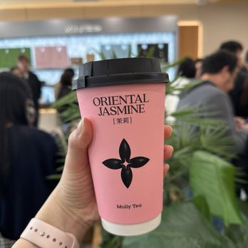 Molly Tea - Jasmine oat milk tea - Bubble Tea Near Me - Sunnyvale, California Molly Tea - Jasmine oat milk tea - Bubble Tea Near Me - Sunnyvale, California