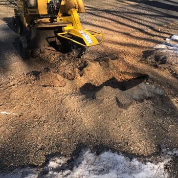 Upstate Stump Grinding - Tree Services Near Me Upstate Stump Grinding - Tree Services Near Me