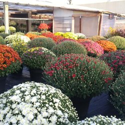 Sharon Flower & Garden - Four seasons  Annuals Perennials Trees Shrubs