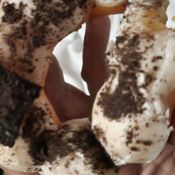 Sweet Boba - Sooo good! - Coffee & Tea Near Me - Glendora, California Sweet Boba - Sooo good! - Coffee & Tea Near Me - Glendora, California