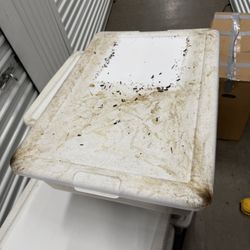 SmartStop Self Storage - Rat feces and urine