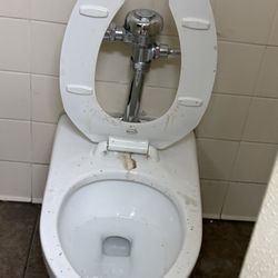 BJ's Wholesale Club - Bathroom
