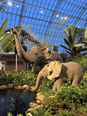 Phipps Conservatory and Botanical Gardens by null