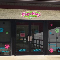 Play N Stay Pet Camp - WHG - Play N Stay Pet Camp - WHG