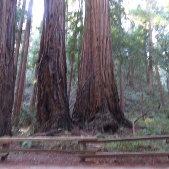 Coastal Walkers - Walking Tours Near Me Coastal Walkers - Walking Tours Near Me