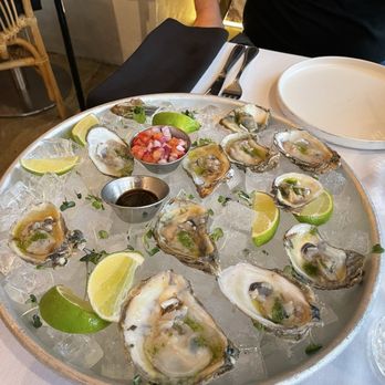 La Pata Gorda - Seafood Near Me - Coral Gables, Florida La Pata Gorda - Seafood Near Me - Coral Gables, Florida