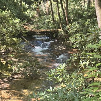 Raven Cliffs Trailhead - Hiking Near Me - Helen, Georgia
