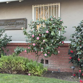 Ravizza Richard J Jr DDS,CALIFORNIA - Outside - General Dentistry Near Me - San Jose, California Ravizza Richard J Jr DDS,CALIFORNIA - Outside - General Dentistry Near Me - San Jose, California