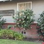 Photo of Ravizza Richard J Jr DDS,CALIFORNIA