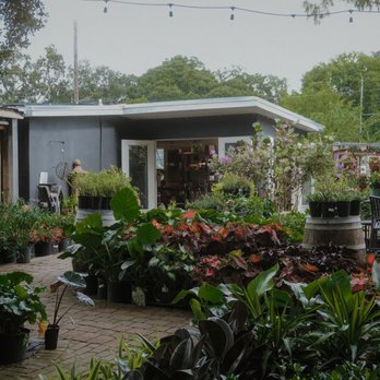 Palmer's Garden & Goods - Nurseries & Gardening Near Me - Orlando, Florida Palmer's Garden & Goods - Nurseries & Gardening Near Me - Orlando, Florida