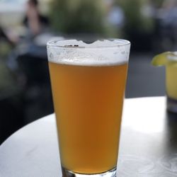 Tarwater Tavern - Hazy IPA
