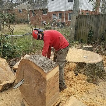 Lumberjack Tree Care - Tree Services Near Me Lumberjack Tree Care - Tree Services Near Me