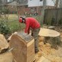 Photo of Lumberjack Tree Care