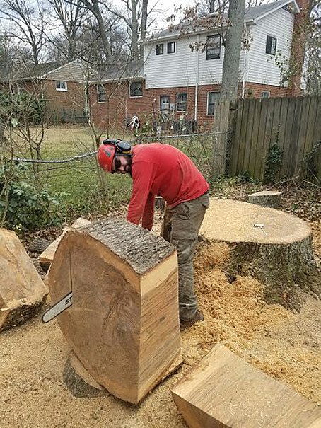 Lumberjack Tree Care - tree service in Richmond, VA