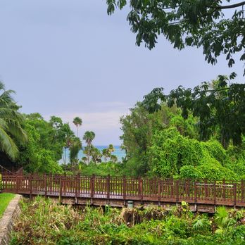 Paradisus La Perla - Boardwalk along the jungle. - Resorts Near Me - Playa del Carmen, ROO Paradisus La Perla - Boardwalk along the jungle. - Resorts Near Me - Playa del Carmen, ROO