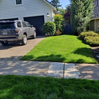 Nw Llc gardens - After overseeding - Gardeners Near Me