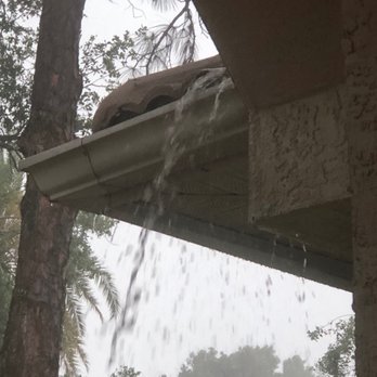 SWF Home Inspections - Gutters full of plants - Home Inspectors Near Me - Venice, Florida SWF Home Inspections - Gutters full of plants - Home Inspectors Near Me - Venice, Florida