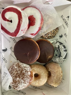 Blackbird Doughnuts / Sally's Sandwiches - Brighton by null
