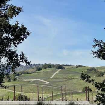 Napa Valley Limousine Services - One of Tom's recommendations that blew us away. - Limos Near Me - Napa, California Napa Valley Limousine Services - One of Tom's recommendations that blew us away. - Limos Near Me - Napa, California