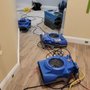 My Carpet Cleaning & Restoration Service