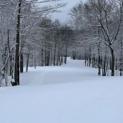 Whitecap Mountains Resort - Tyrol