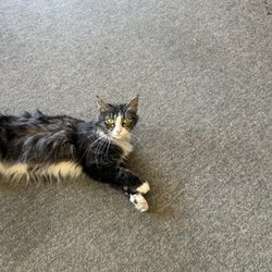 Wye Road Feed and Supply - Meow