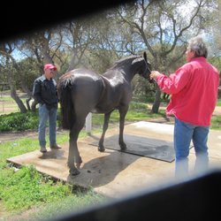 Summit Oaks Ranch - Lady getting a bath.