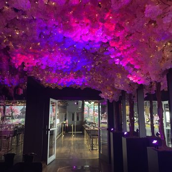 Sky Wise Lounge - Asian Fusion Near Me - Brooklyn, New York Sky Wise Lounge - Asian Fusion Near Me - Brooklyn, New York
