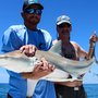 Photo of Big Bully Outdoors